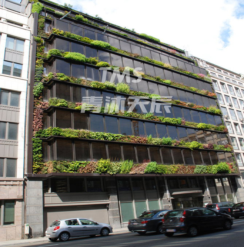 跟随建筑生长的可呼吸的植物墙.jpg