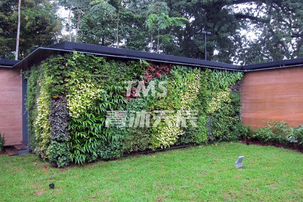围墙绿化设备房绿化墙景观.jpg