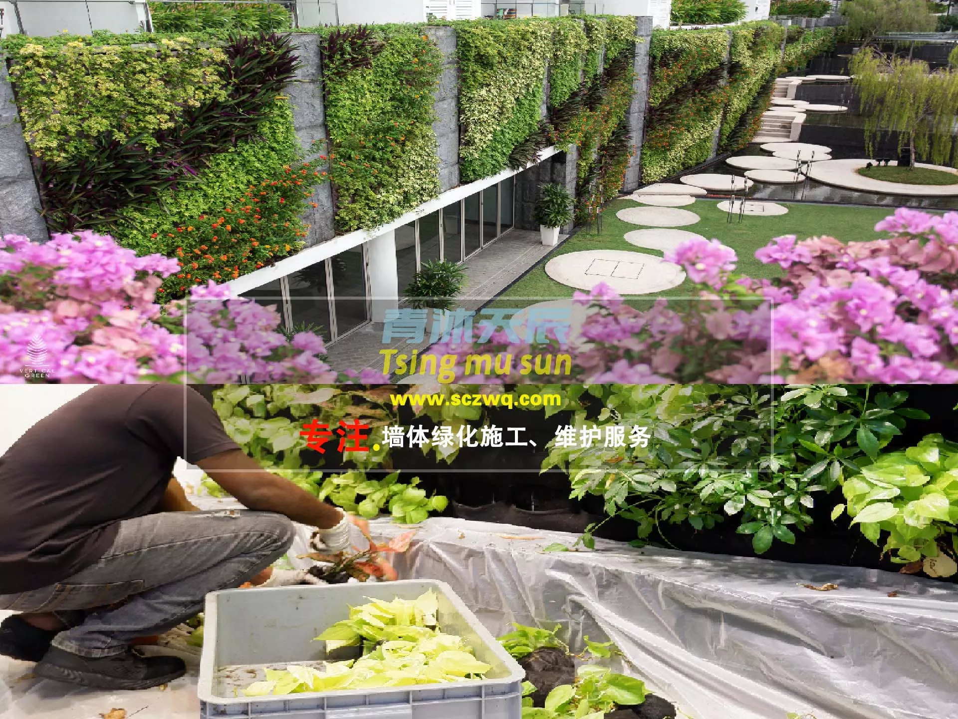 植物墙施工维护服务