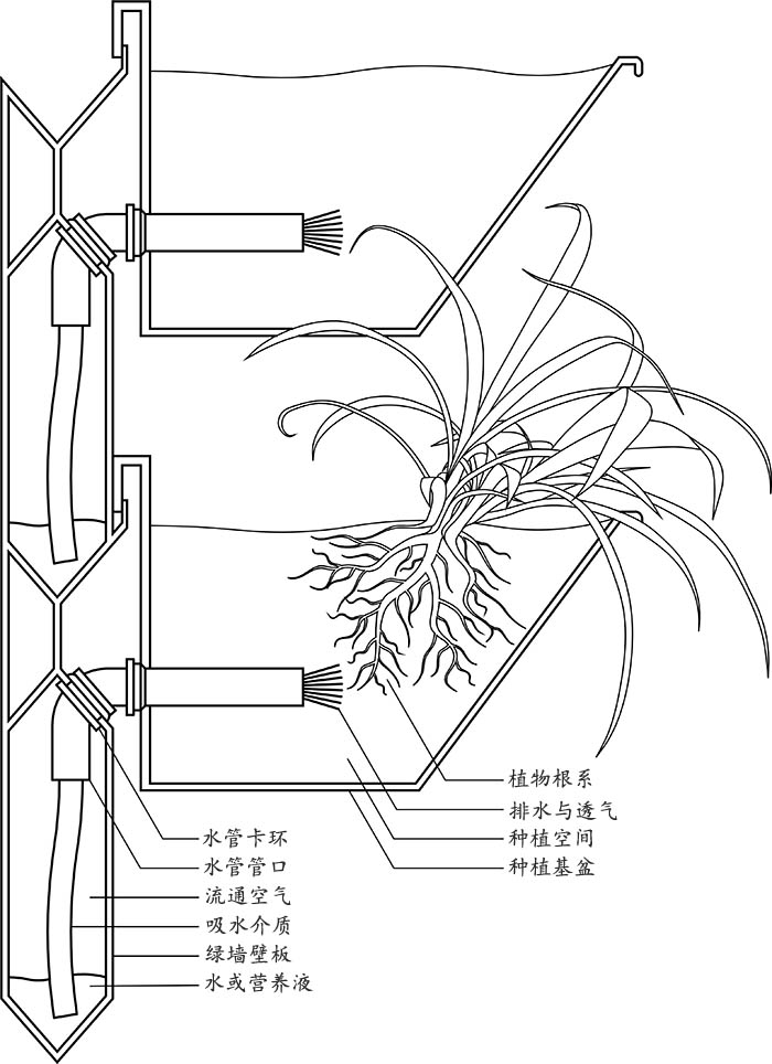 植物墙种植系统原理.jpg