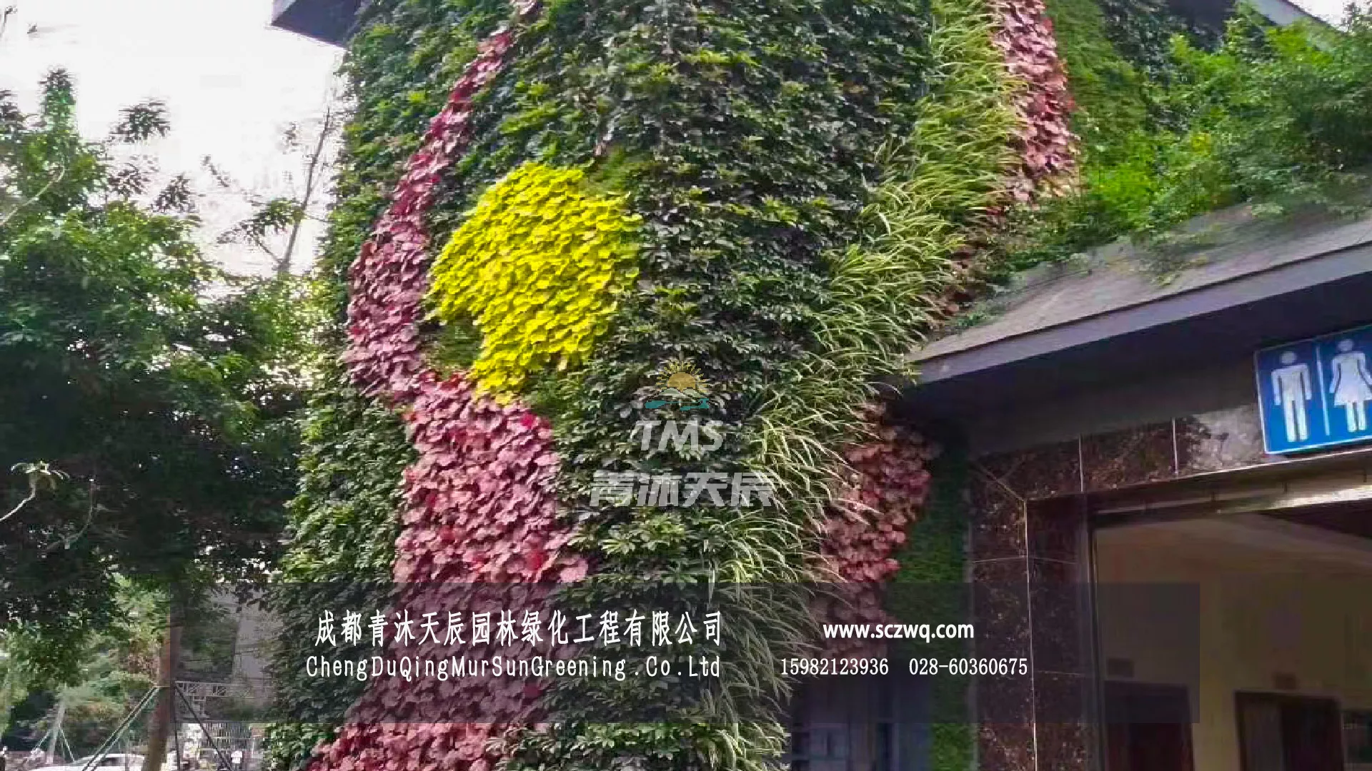 公共厕所的植物墙面