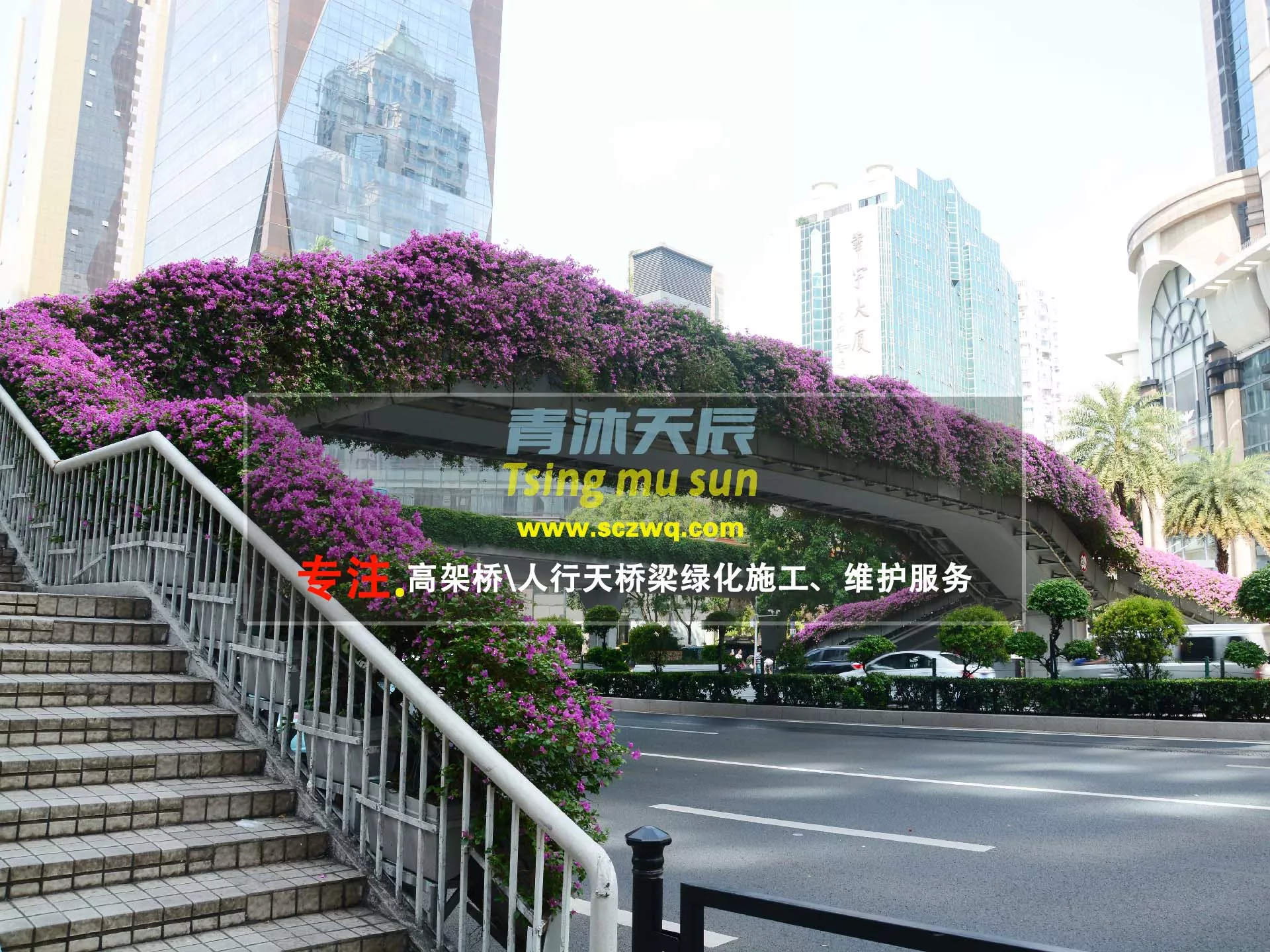 高架桥人行天桥绿化